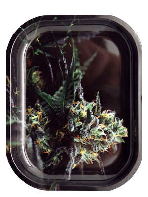 OG Kush Metal Rolling Tray Small 2423 Agung