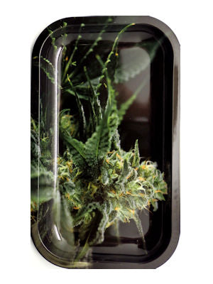 OG Metal Rolling Tray Medium 2424 Agung